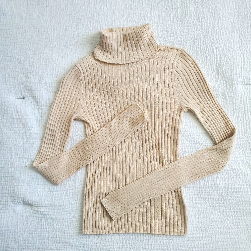 NWOT AEO Ribbed Crop Turtleneck